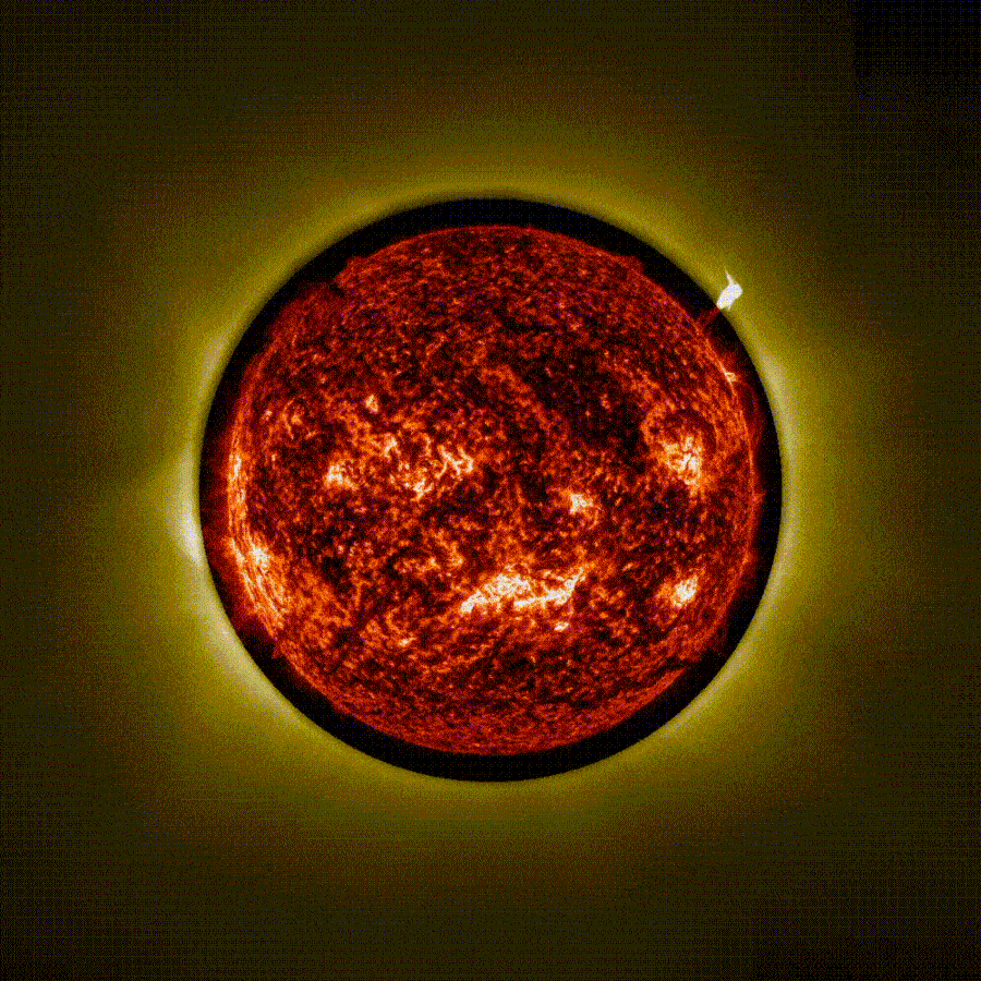 A luz amarela que circunda o Sol no gif acima é a coroa solar, vista pelo coronógrafo da sonda ...
