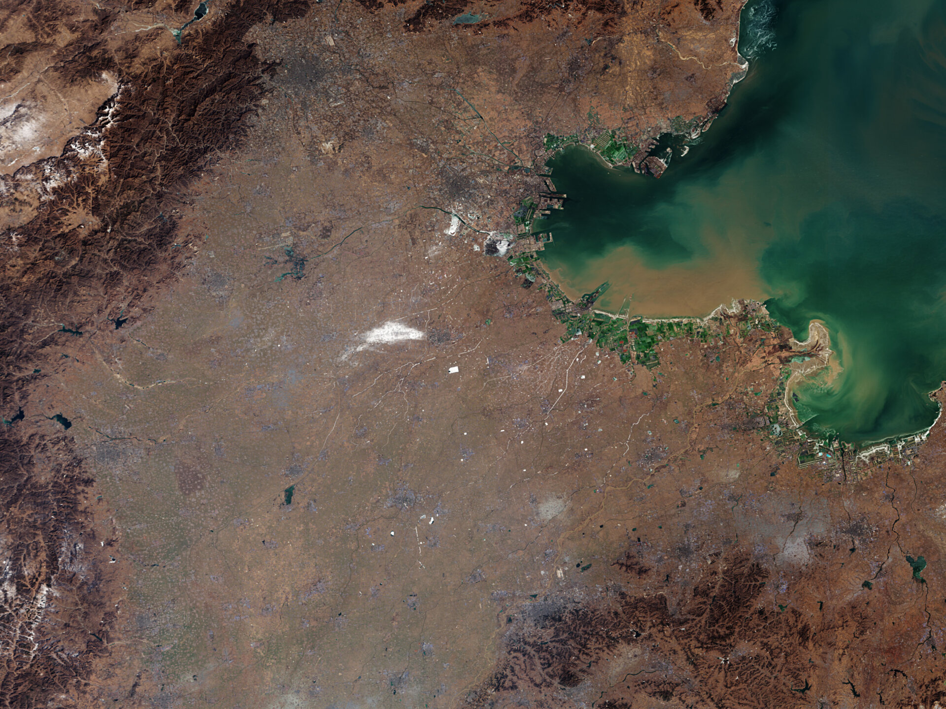 River deltas are sinking faster than the sea is rising