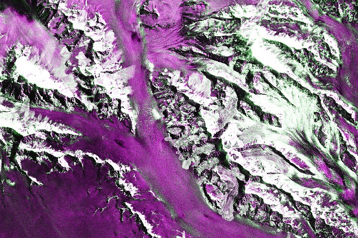 NASA Earth Observatory / Lauren Dauphin