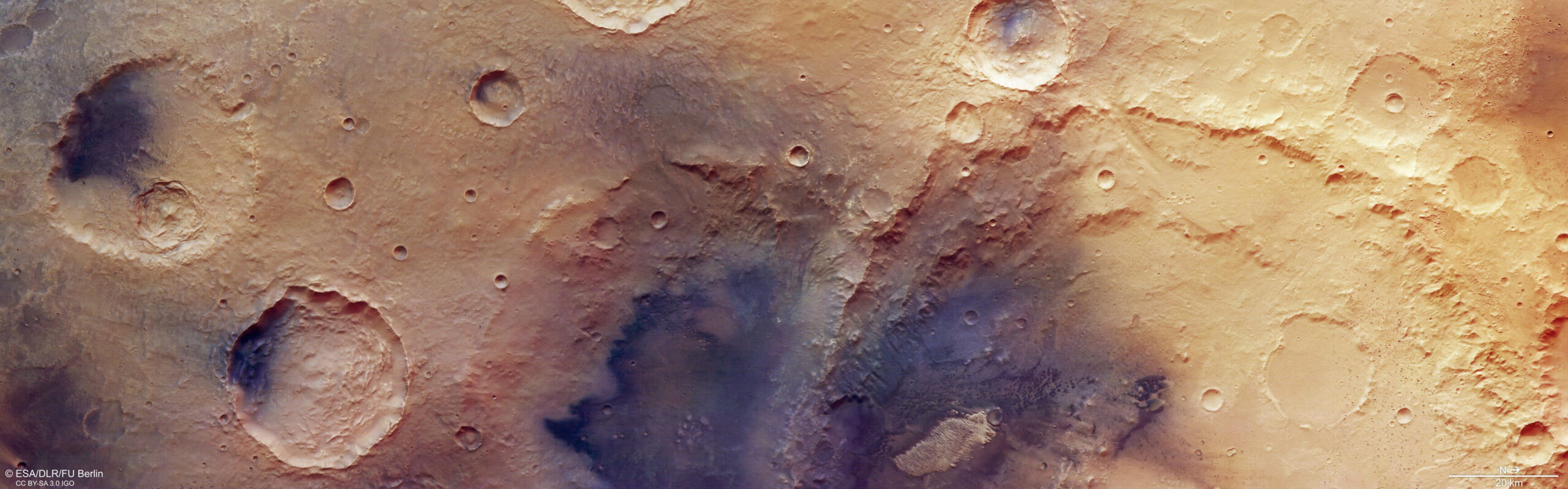 Week in images: 02-06 March 2026