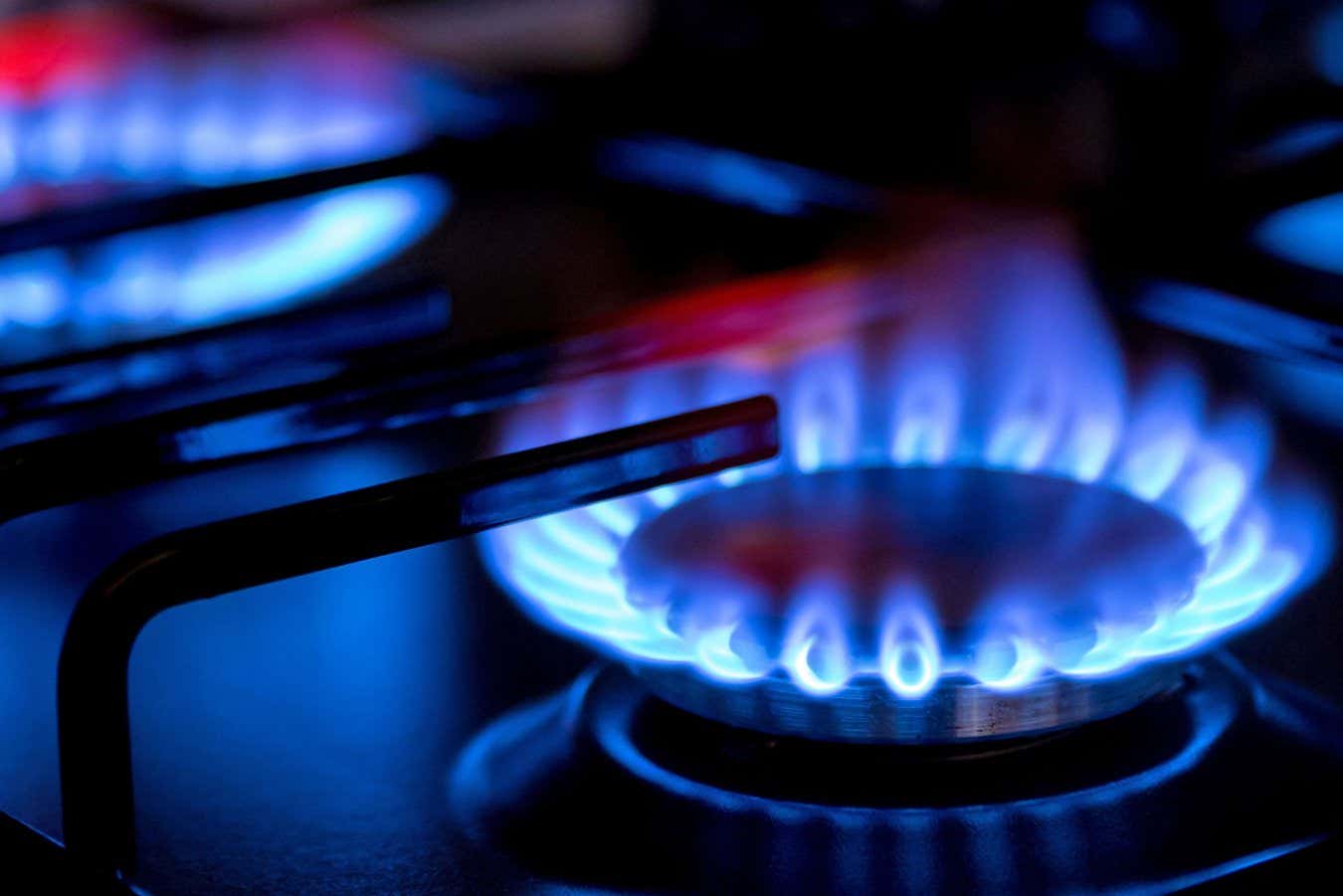 Gas burners can leak pollutants into homesMaria Kray/Shutterstock