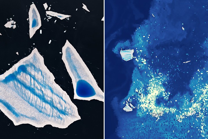 NASA Earth Observatory