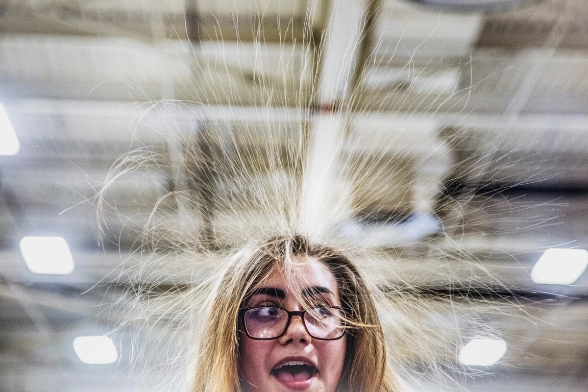 When hair picks up an electrostatic charge, the strands repel each other and stand on end. Whitne...