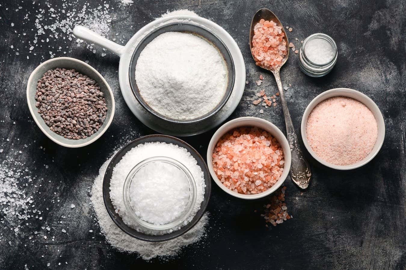 Boring old iodised table salt should make a comebackTatjana Baibakova/Alamy