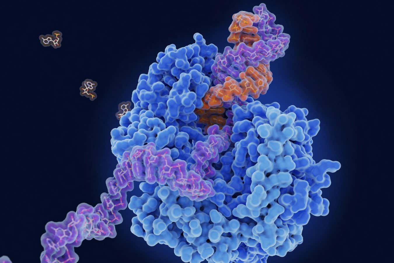 Viral RNA relies on an enzyme to replicate, which offers up a target to protect against a range o...