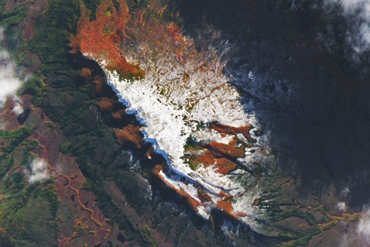 NASA Earth Observatory/Lauren Dauphin