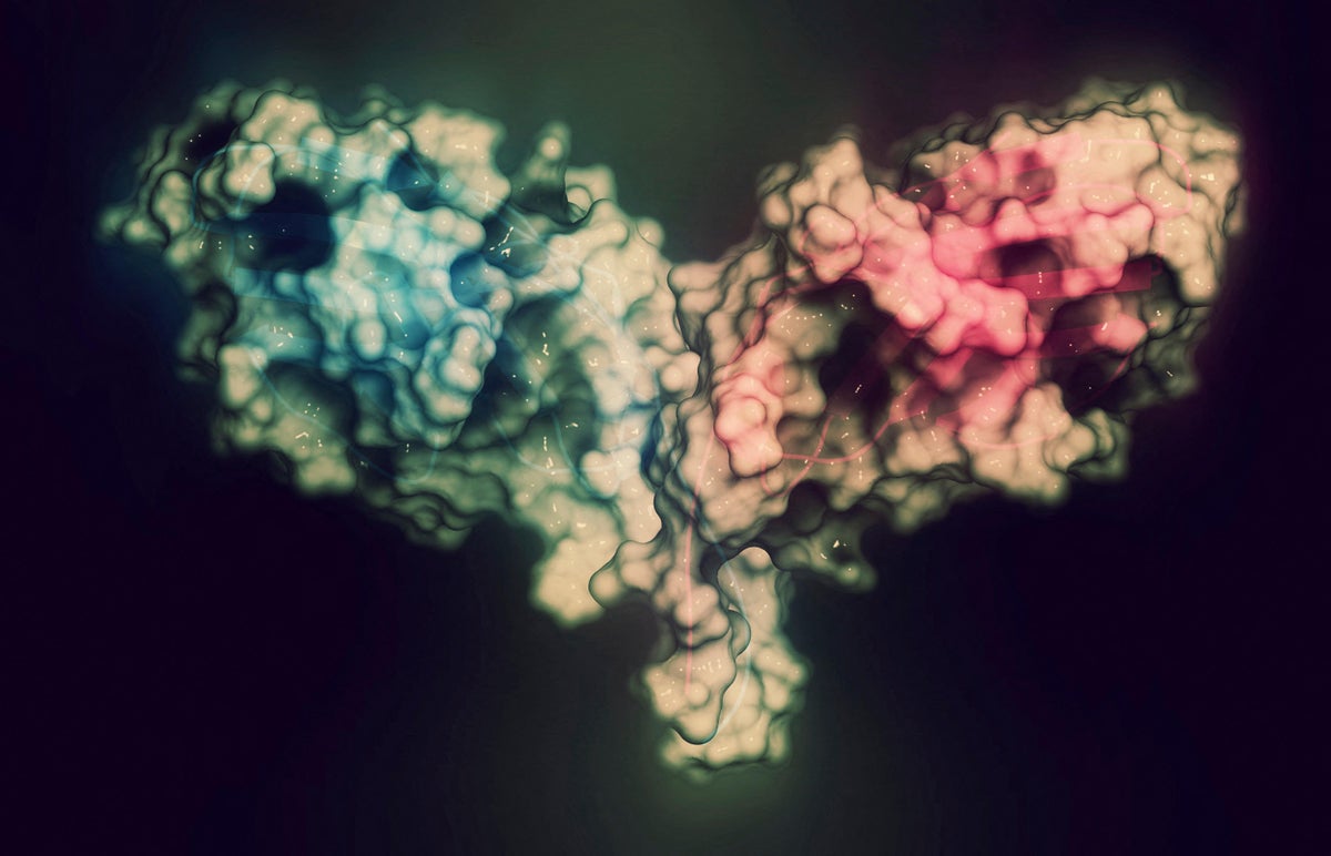 JMXCY8 The AI tool designed binders against Cytotoxic T-lymphocyte-associated protein 4 (CTLA-4). Scienc...