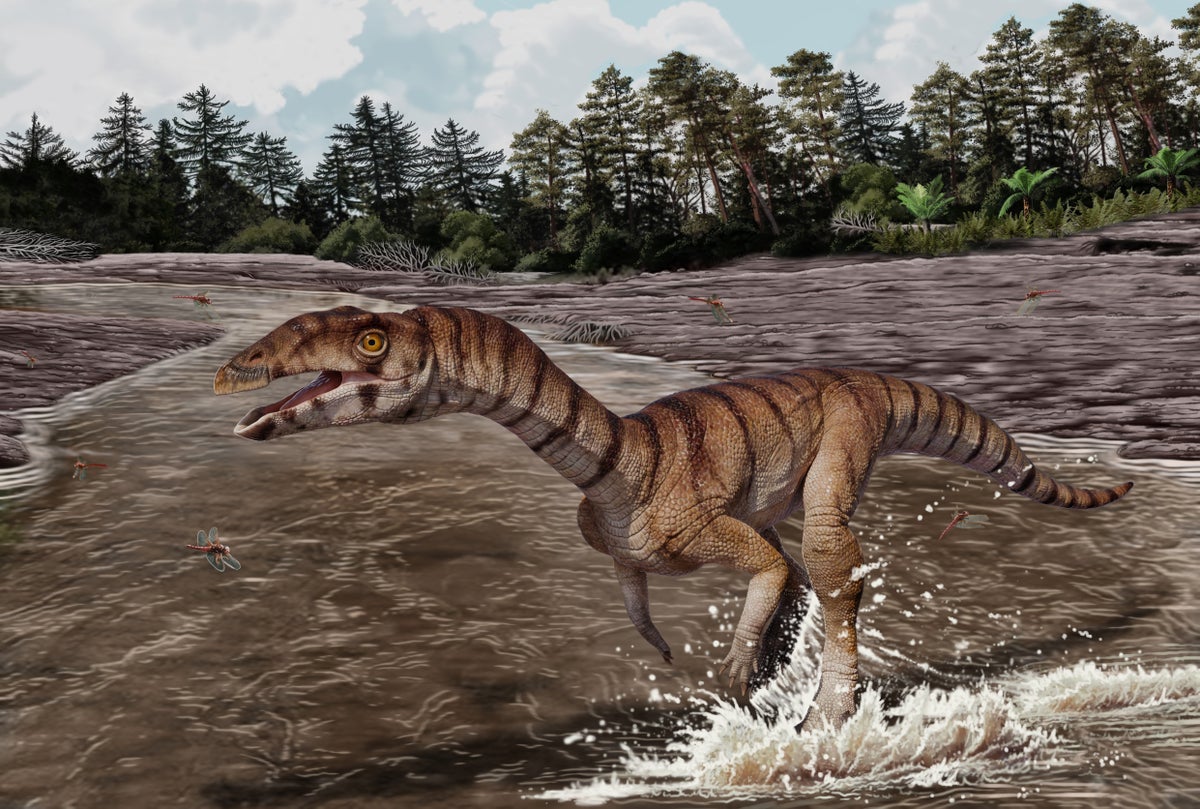 Labrujasuchus-expectatus Jorge Gonzalez; Copyright NHMLAC Dinosaur Institute