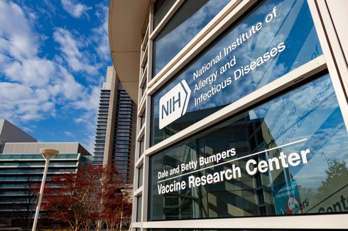The National Institute of Allergy and Infectious Diseases has seen changes in nearly all of its s...