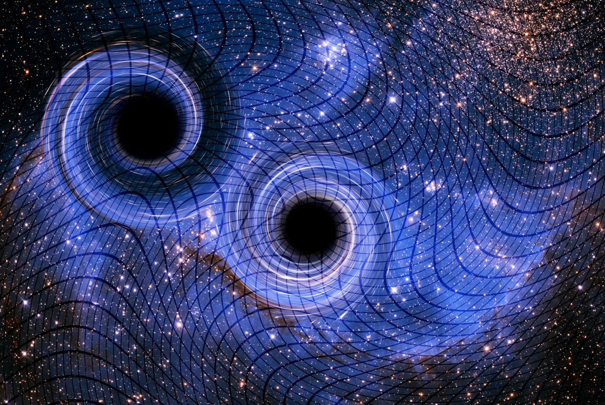 VICTOR de SCHWANBERG/SCIENCE PHOTO LIBRARY