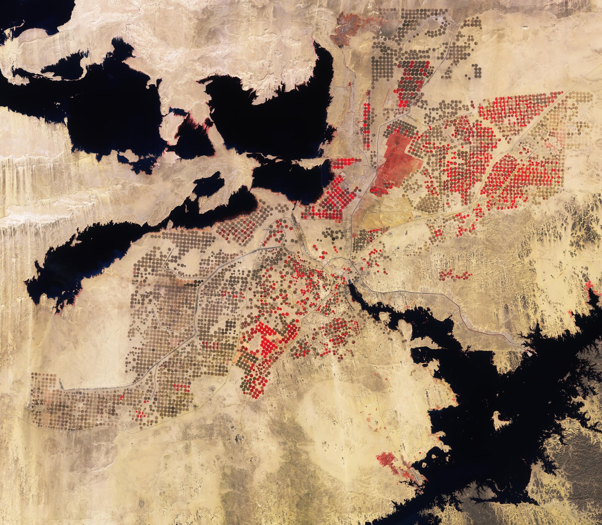 Earth_from_Space_Desert_cropland_pillars Earth from Space: Desert cropland