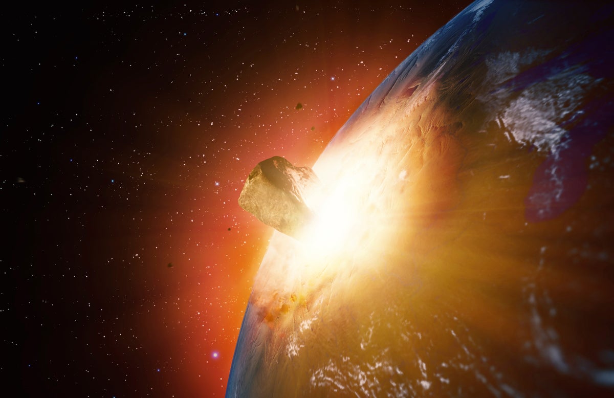 ANDRZEJ WOJCICKI/SCIENCE PHOTO LIBRARY via Getty Images