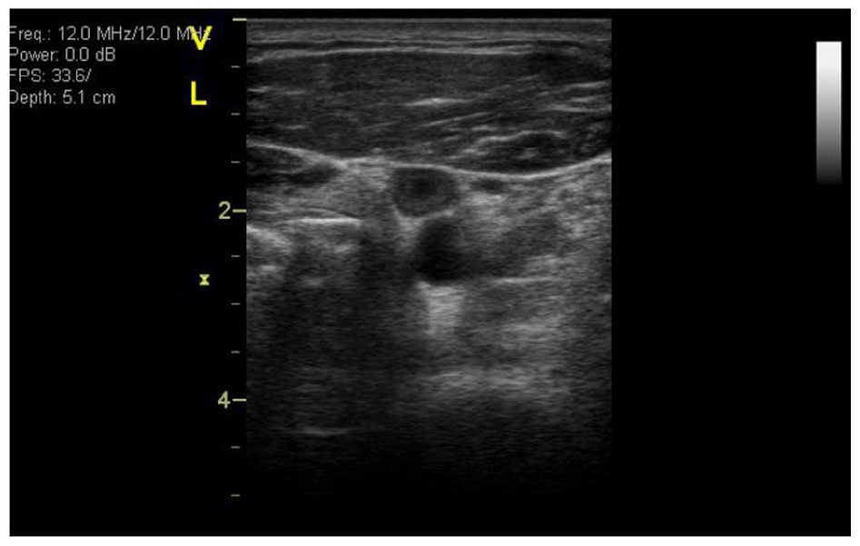10-1177-1358863×221086619-fig2 NASA/Pavela