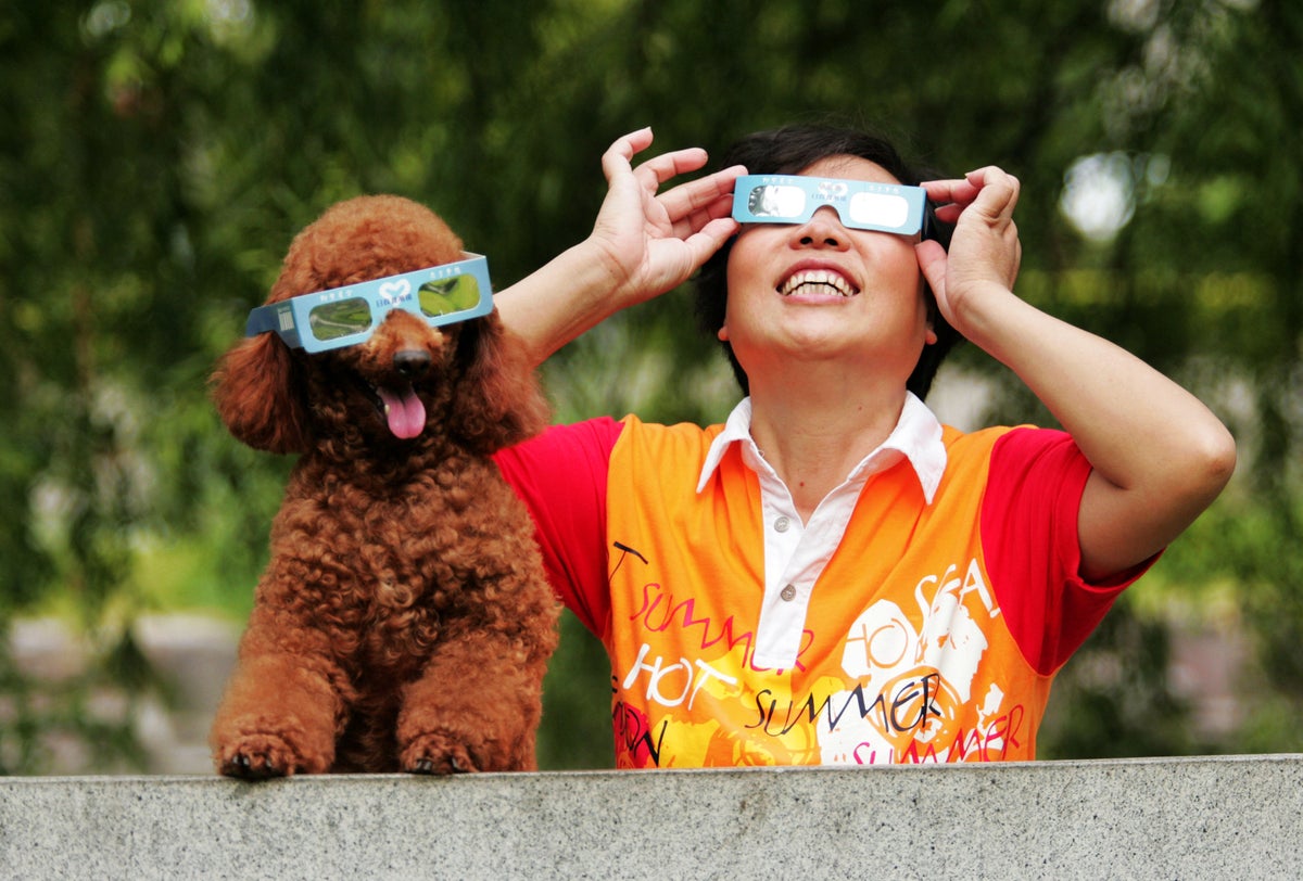 GettyImages-89160610 A viewer observes the solar eclipse with a poodle on July 22, 2009, in Hangzhou of Zhejiang Provi...
