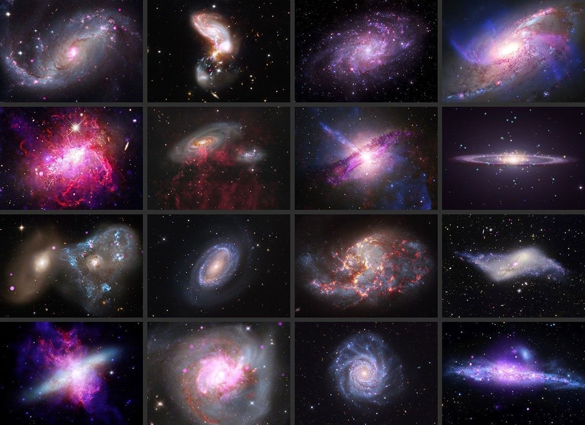 New photographs from NASA’s Chandra X-ray Observatory reveal a mix of spiral, elliptical and ir...