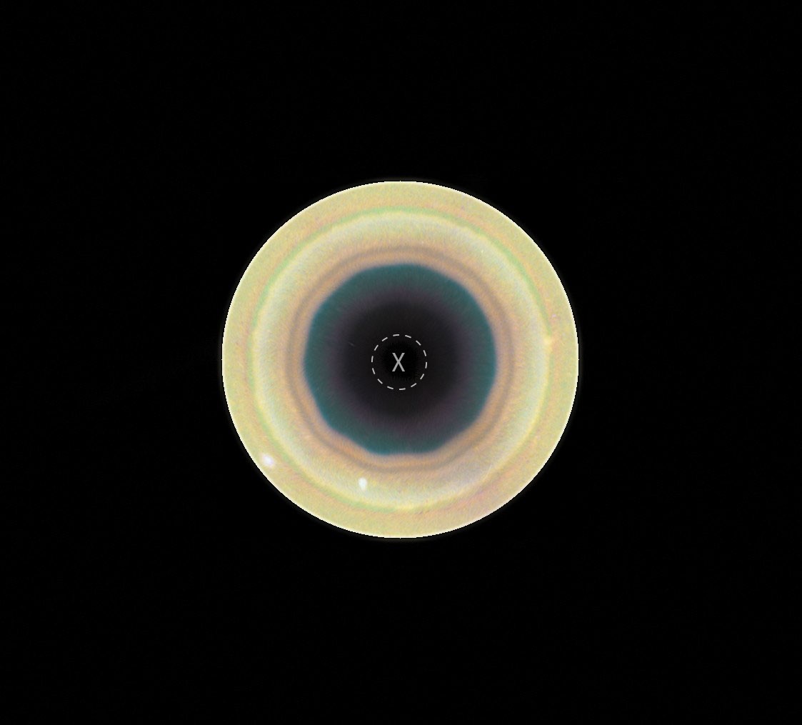 NASA Science