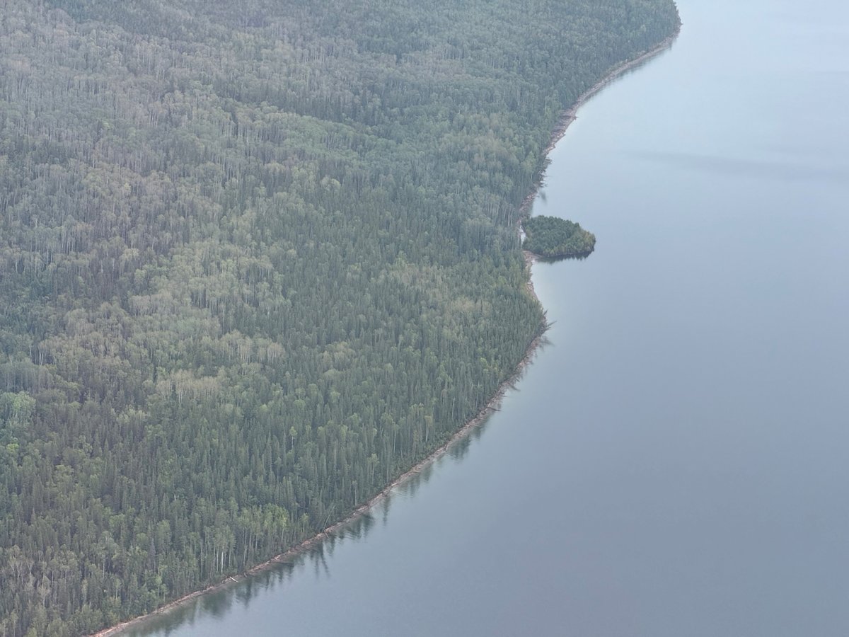 floating-island This summer an island in Canada’s Williston Lake mysteriously appeared, vanished and then reapp...