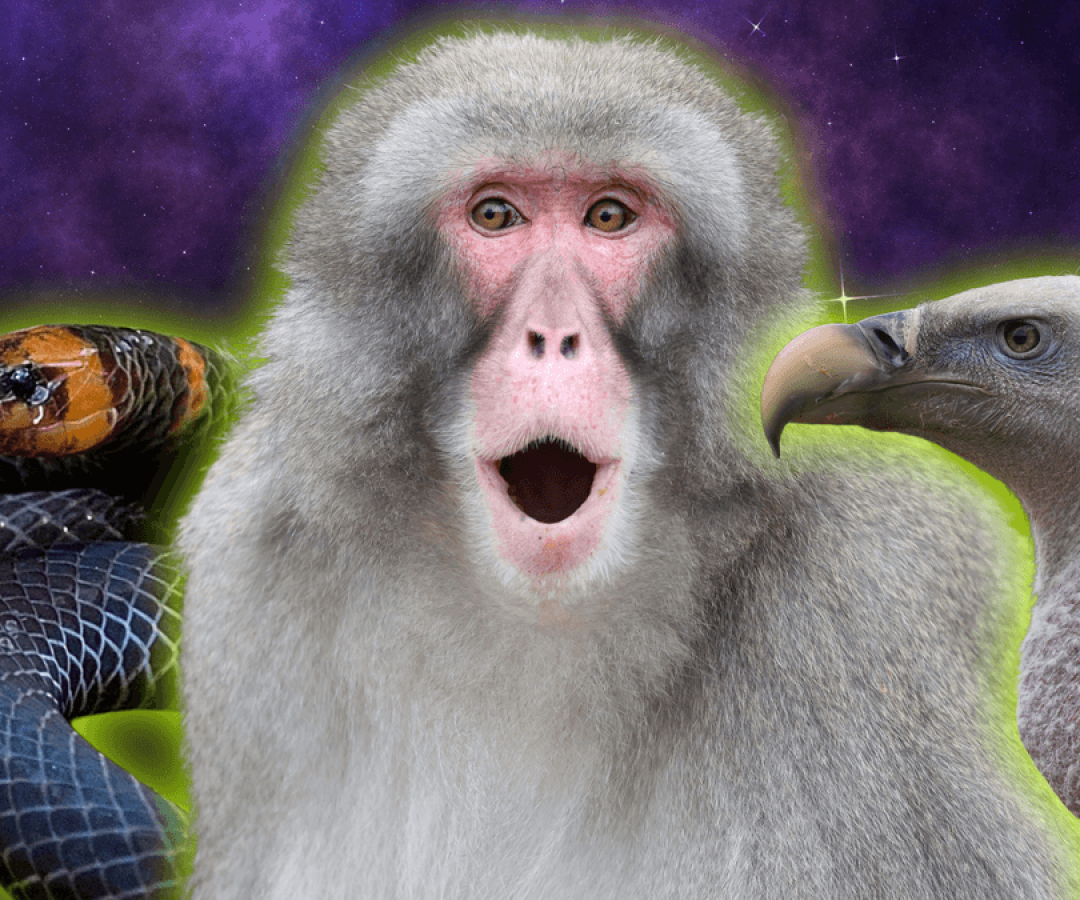 Edwin Butter/Mohamad alias/Paul Sawer/Shutterstock/Scientific American Illustrations