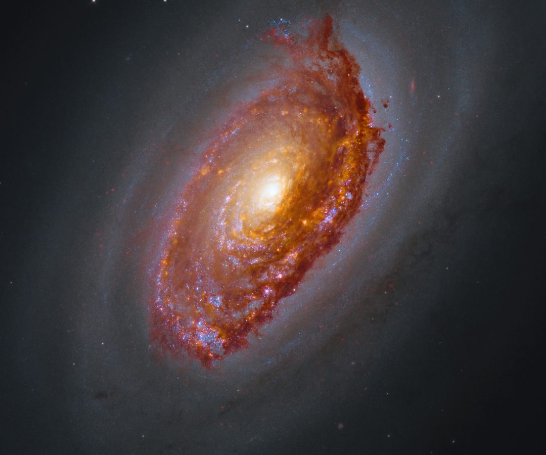 Hubble and Webb image of M64. A massive spiral galaxy glows with a yellow core, surrounded by arm...