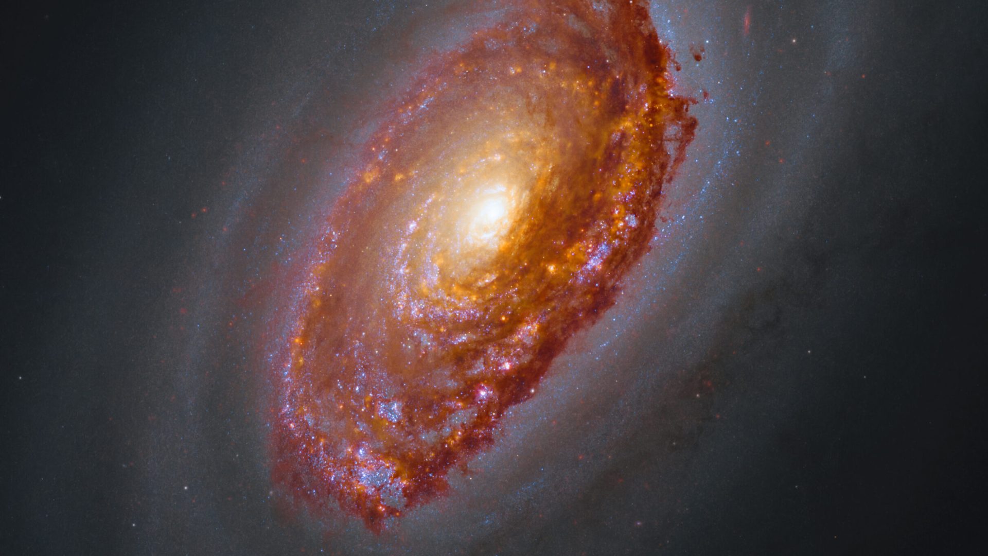 Hubble and Webb image of M64. A massive spiral galaxy glows with a yellow core, surrounded by arm...