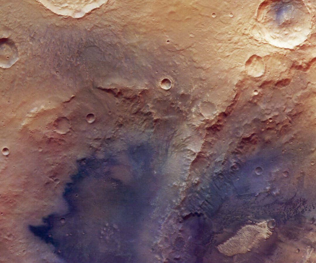 Week in images: 02-06 March 2026