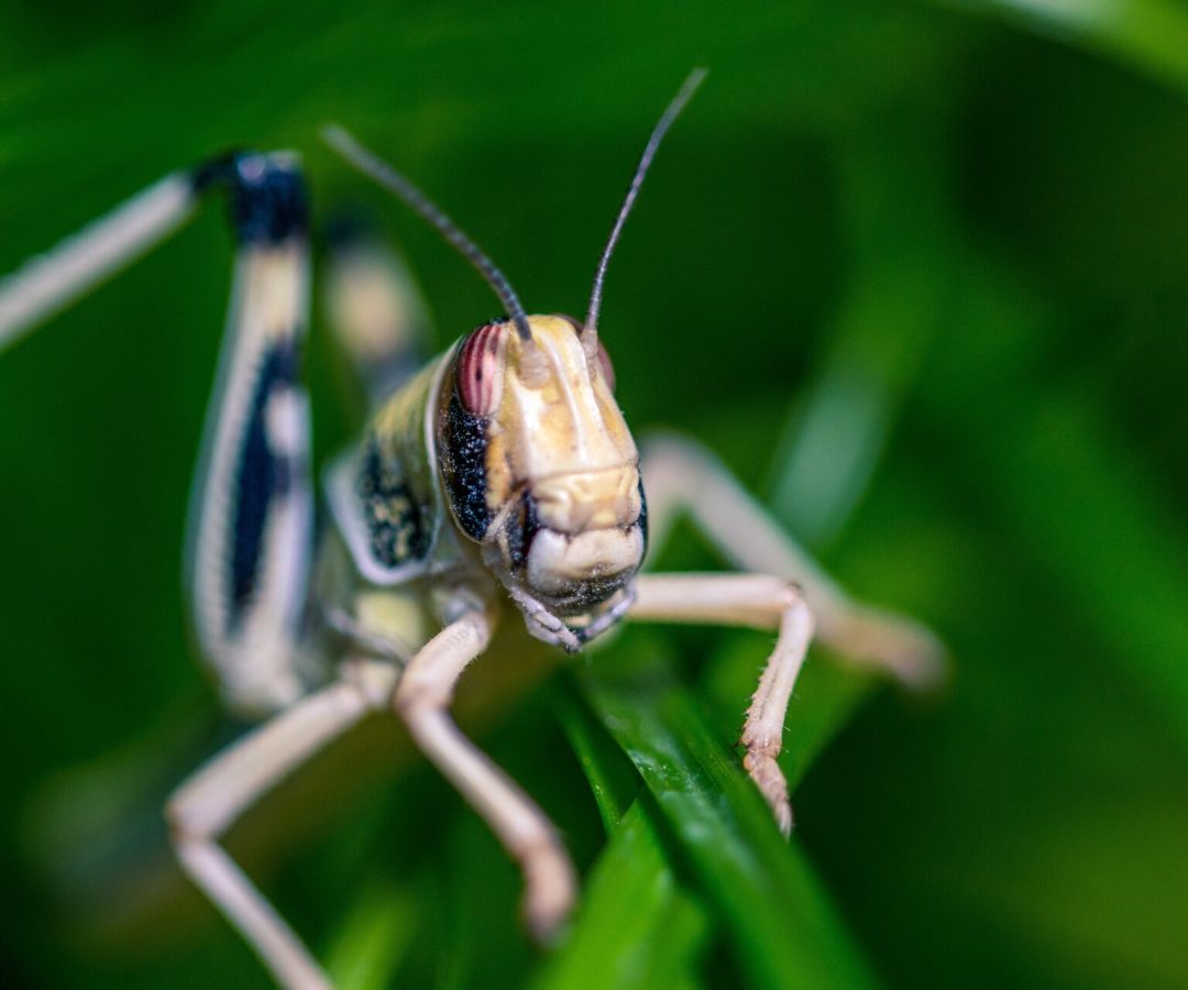 Turning data from space into action for Earth