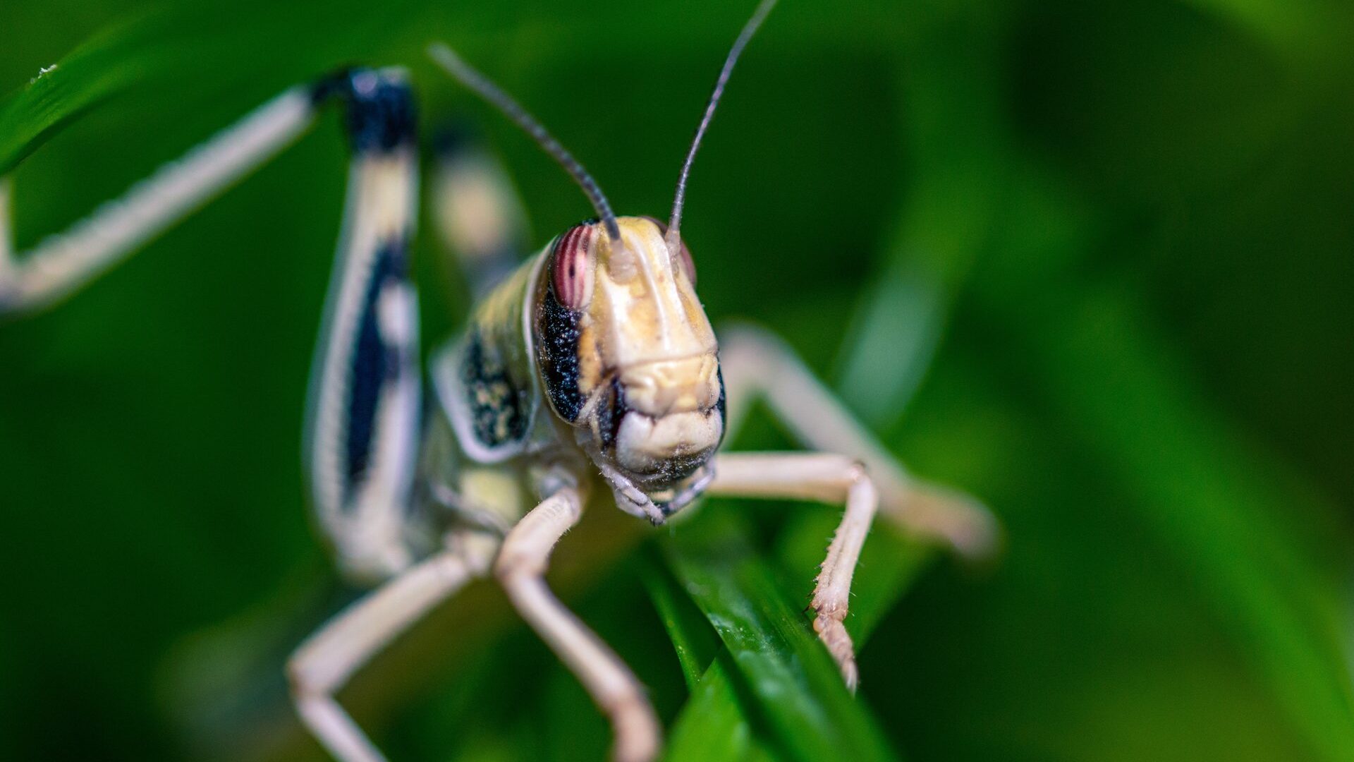 Turning data from space into action for Earth