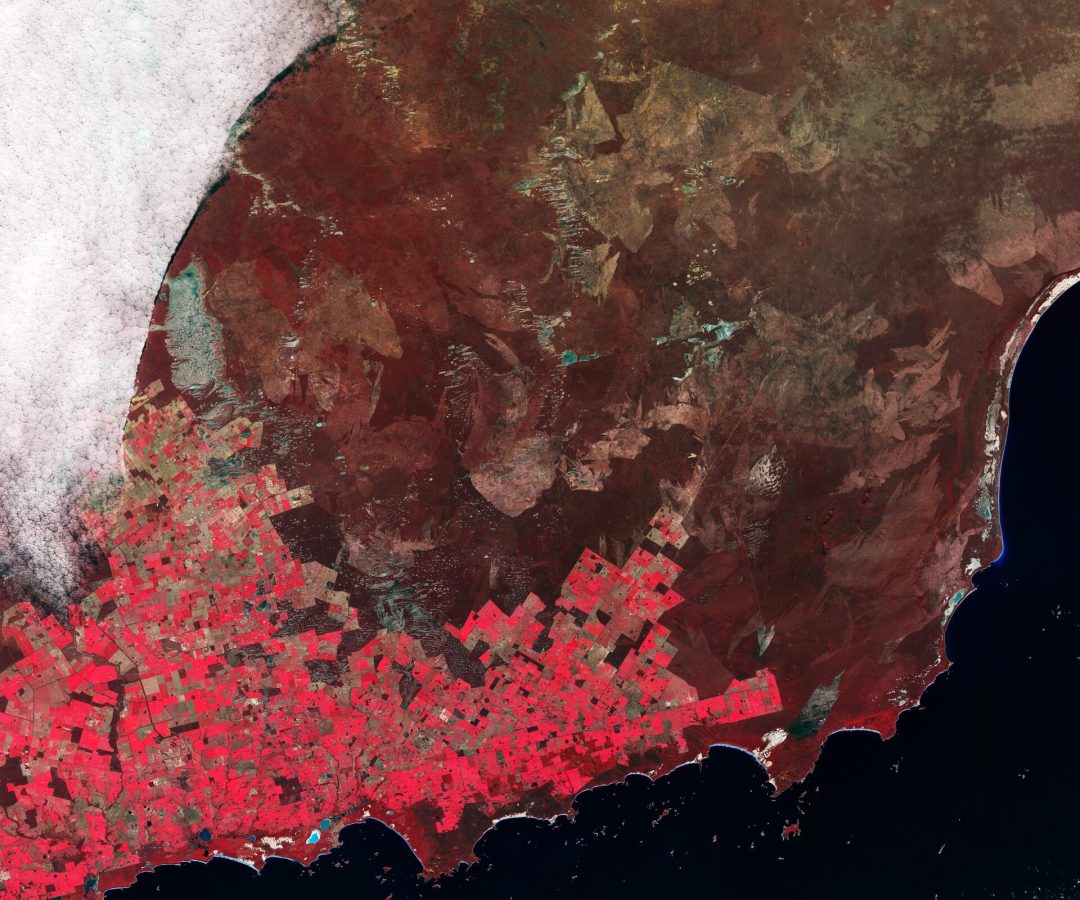 Earth from Space: Agricultural patchwork