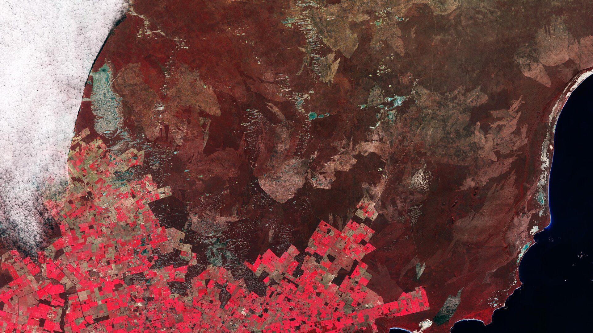 Earth from Space: Agricultural patchwork