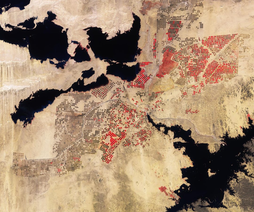 Earth from Space: Desert cropland