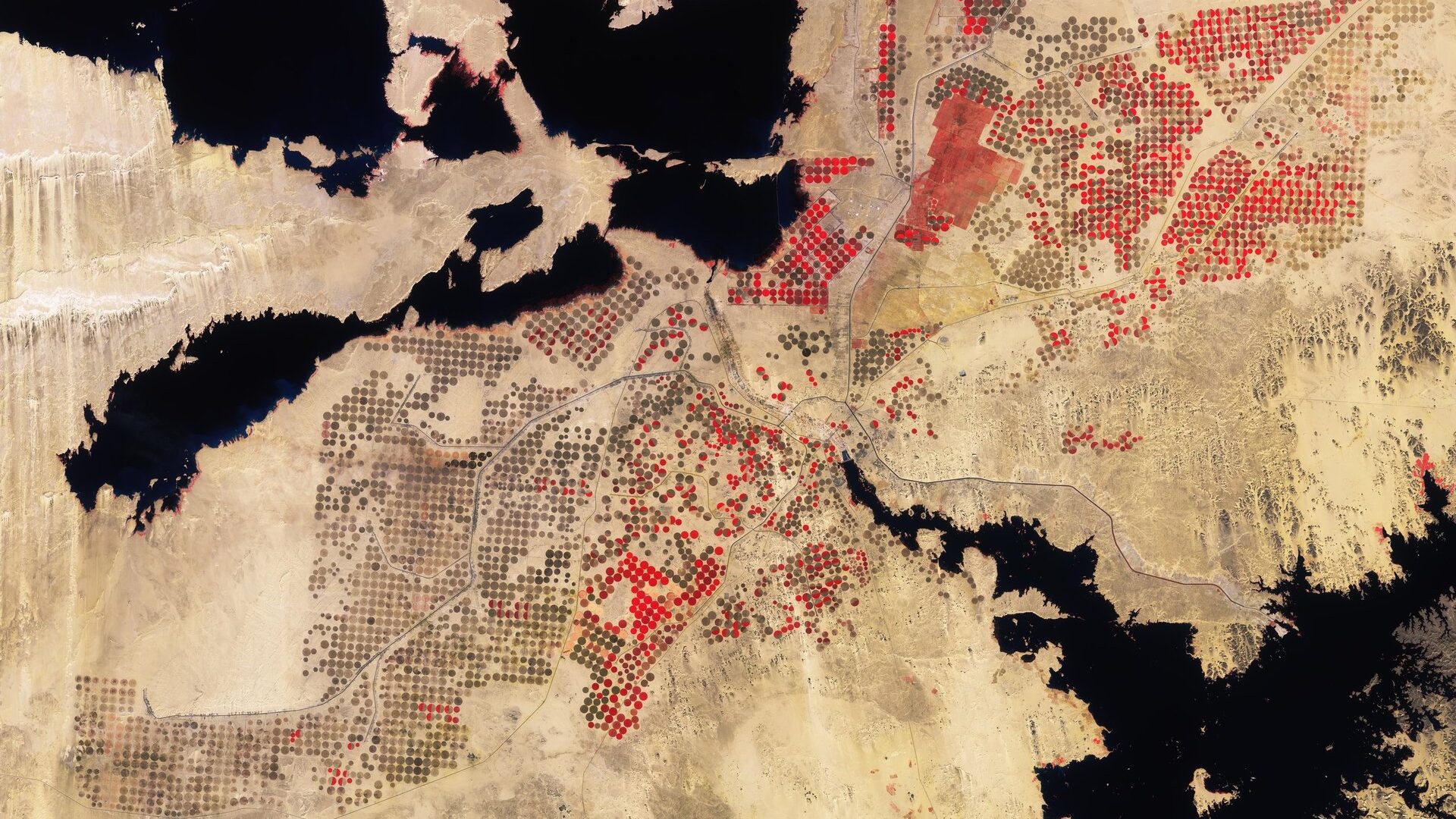 Earth from Space: Desert cropland