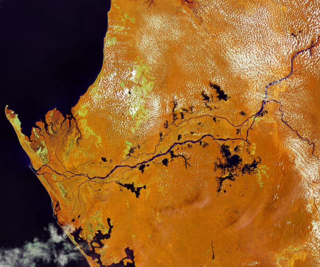 Earth from Space: Land of rainforests