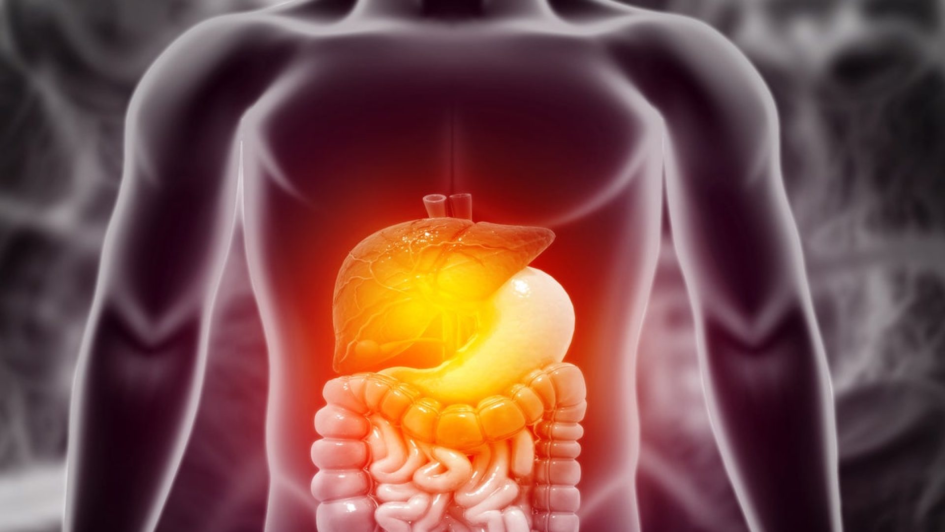 Mohammed Haneefa Nizamudeen/Getty Images