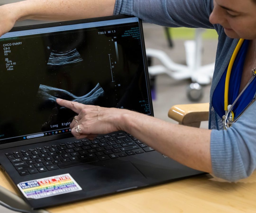Polycystic ovary syndrome researcher Melanie Cree points to an image of ovaries from an ultrasoun...