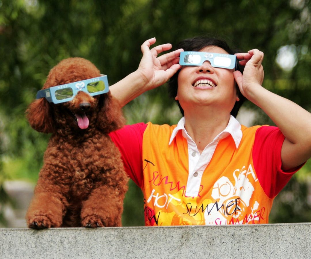 A viewer observes the solar eclipse with a poodle on July 22, 2009, in Hangzhou of Zhejiang Provi...