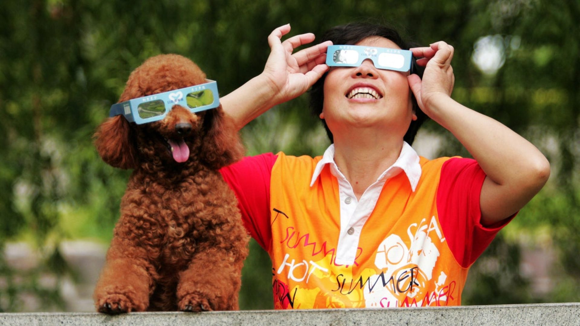 A viewer observes the solar eclipse with a poodle on July 22, 2009, in Hangzhou of Zhejiang Provi...