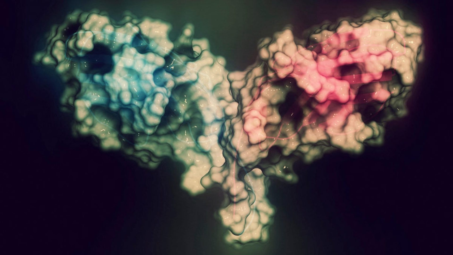 The AI tool designed binders against Cytotoxic T-lymphocyte-associated protein 4 (CTLA-4). Scienc...