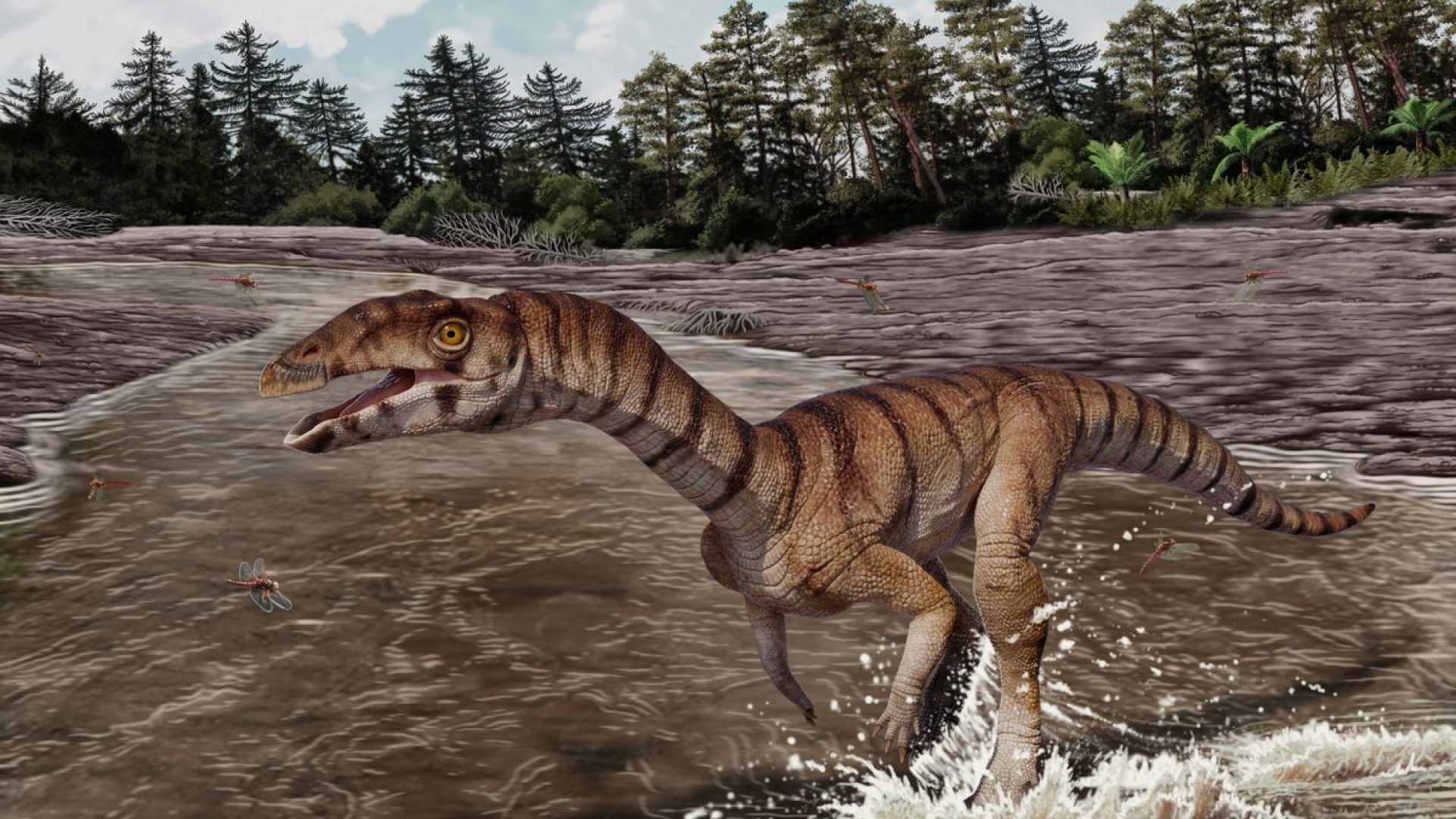 Jorge Gonzalez; Copyright NHMLAC Dinosaur Institute