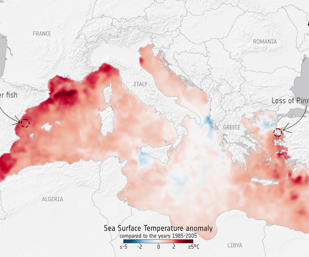Revealed: 10 new insights in climate science
