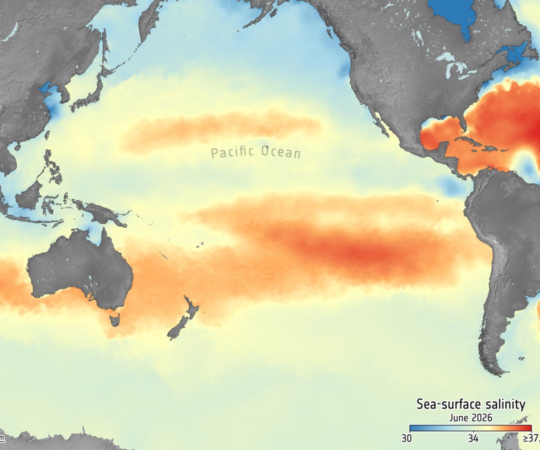 SMOS salinity could offer early indicator of El Niño