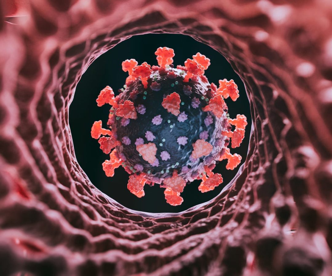 A new variant of SARS-CoV-2, the virus that causes COVID, dubbed "Cicada" is circulating. Koto_fe...