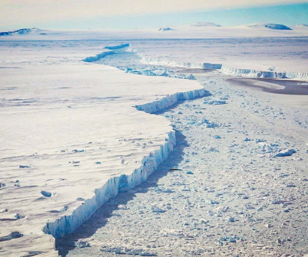Giant icebergs have been breaking off the edge of Pine Island ice shelfNASA/Brooke Medley