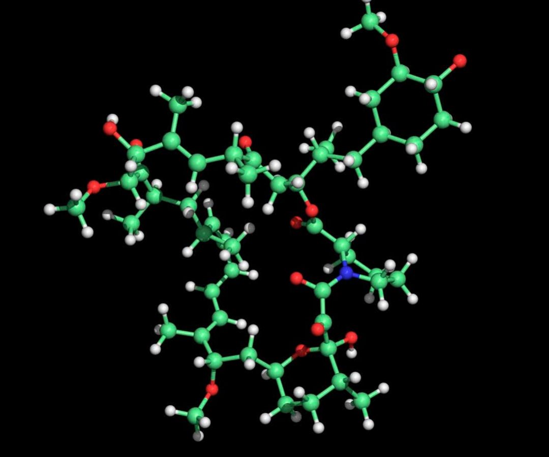An illustration of the molecule rapamycin, which may aid extend your life, but then again, may no...