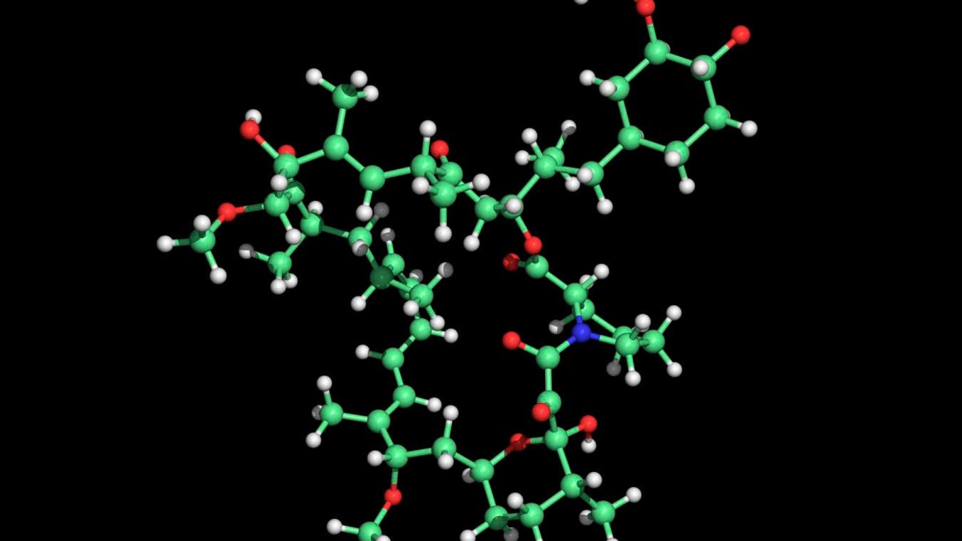 An illustration of the molecule rapamycin, which may aid extend your life, but then again, may no...