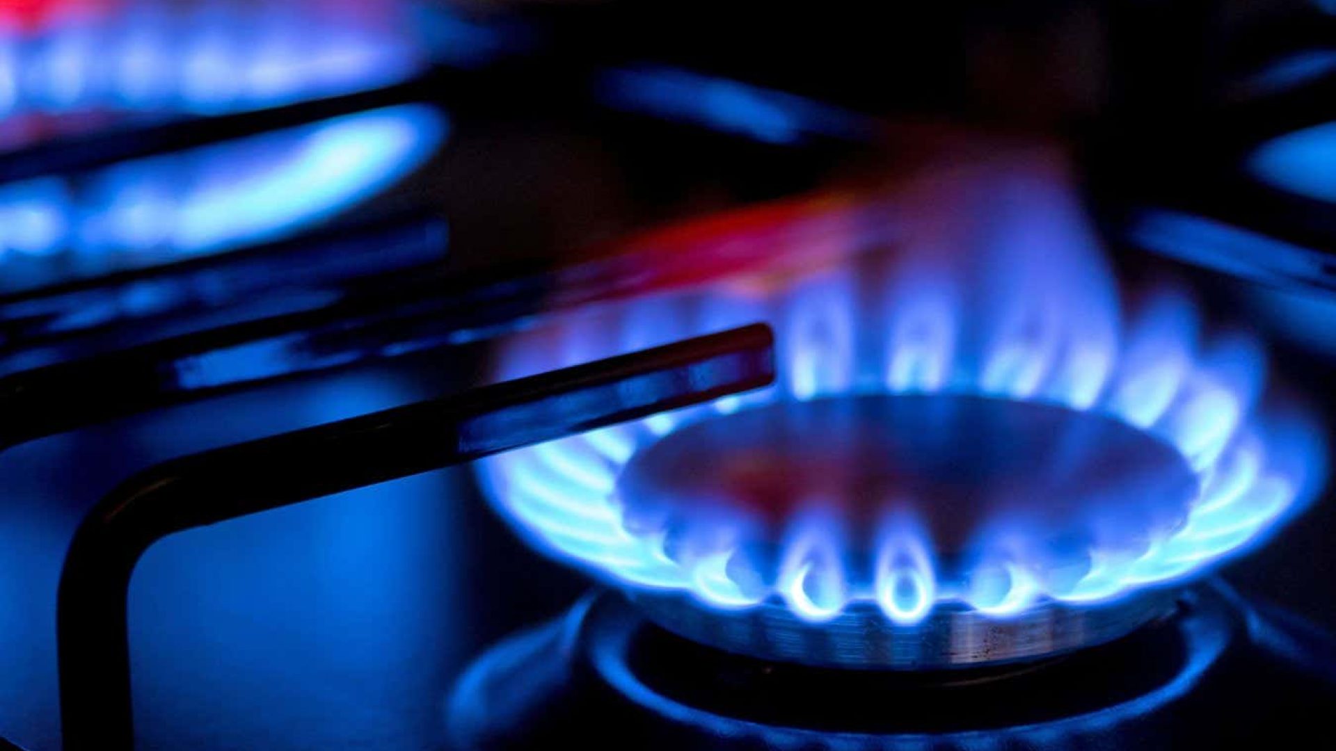 Gas burners can leak pollutants into homesMaria Kray/Shutterstock