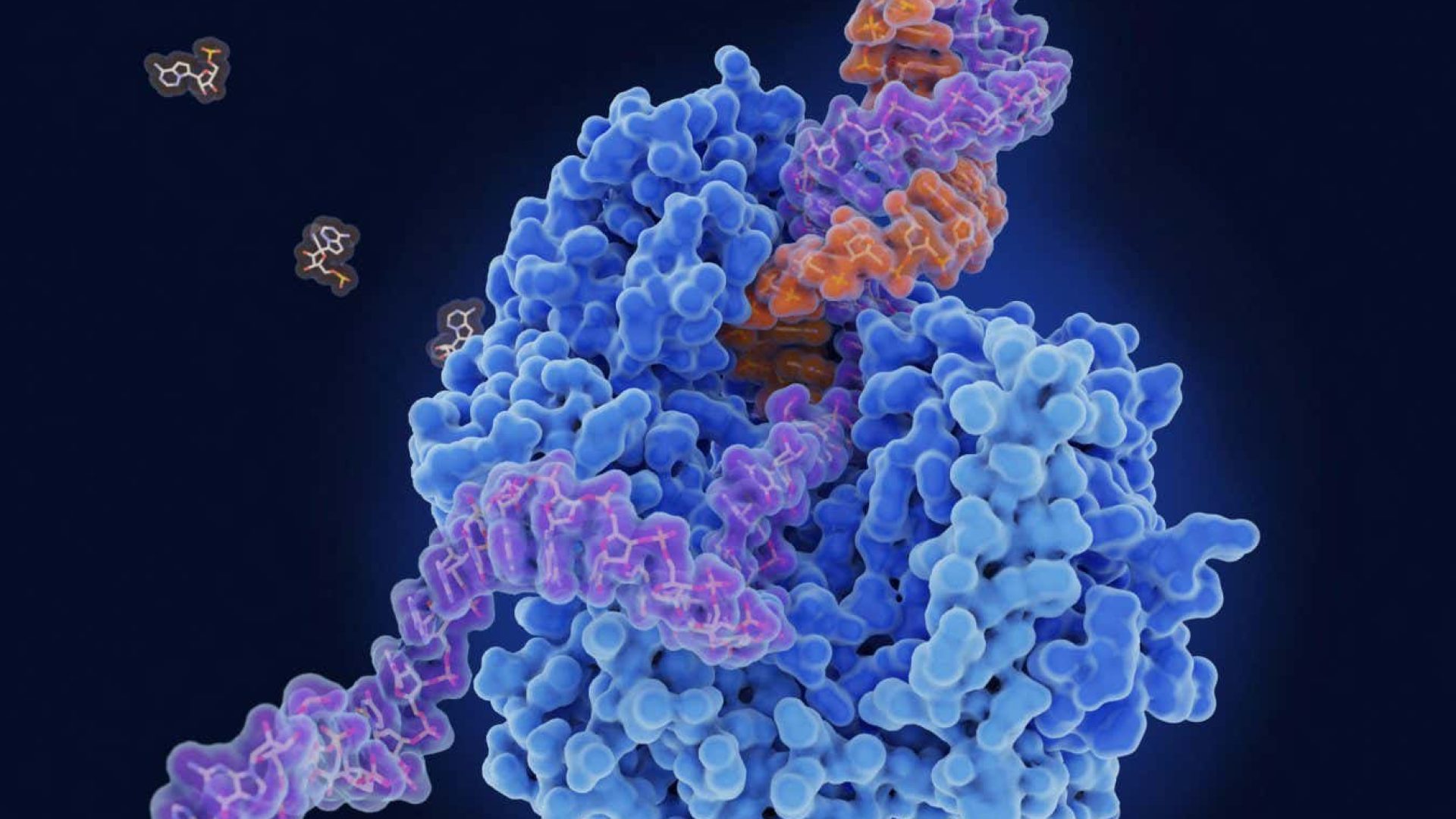 Viral RNA relies on an enzyme to replicate, which offers up a target to protect against a range o...