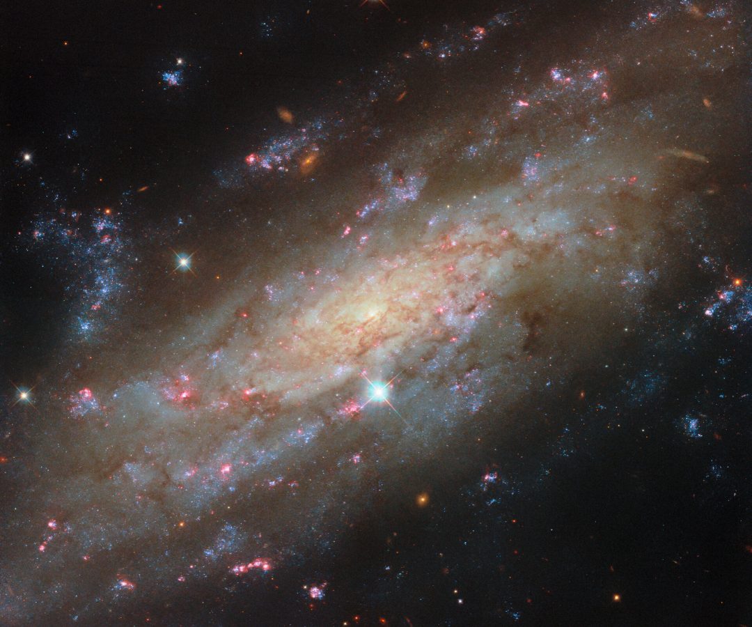 Starry spiral in a familiar neighbourhood