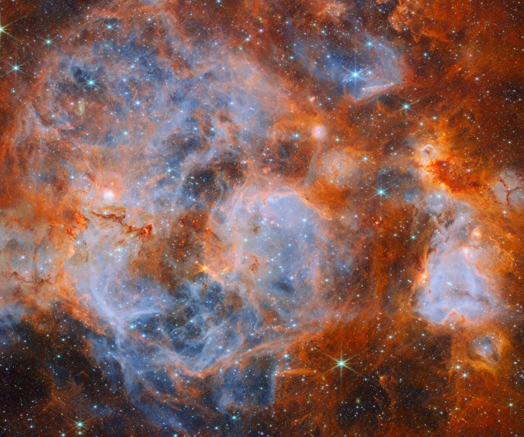 Stars brewing in a nebulous cauldron