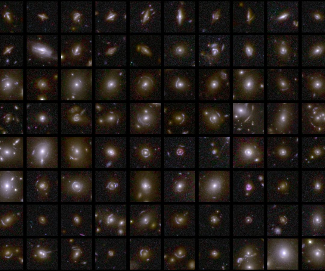 Strong gravitational lenses captured by Euclid