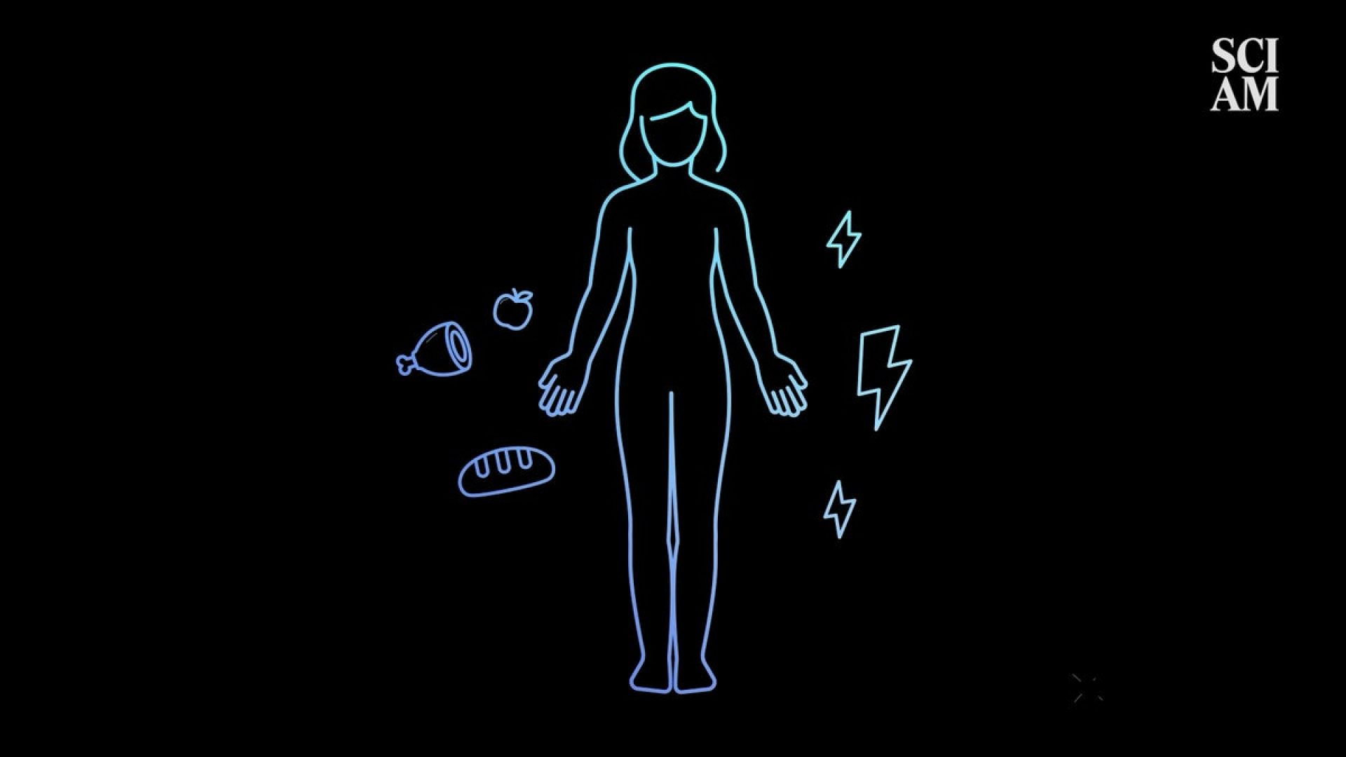 Fonda Mwangi, Deboki Chakravarti, Mary Budwick